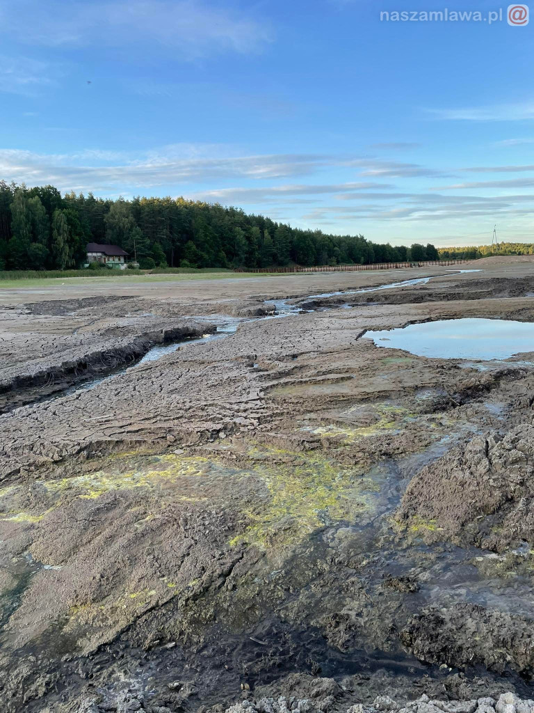 Remont zalewu. Teraz schną drzewa (FOTORELACJA)