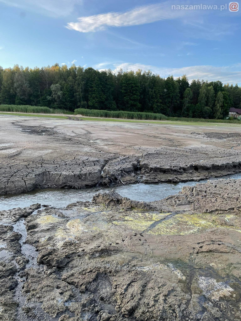 Remont zalewu. Teraz schną drzewa (FOTORELACJA)