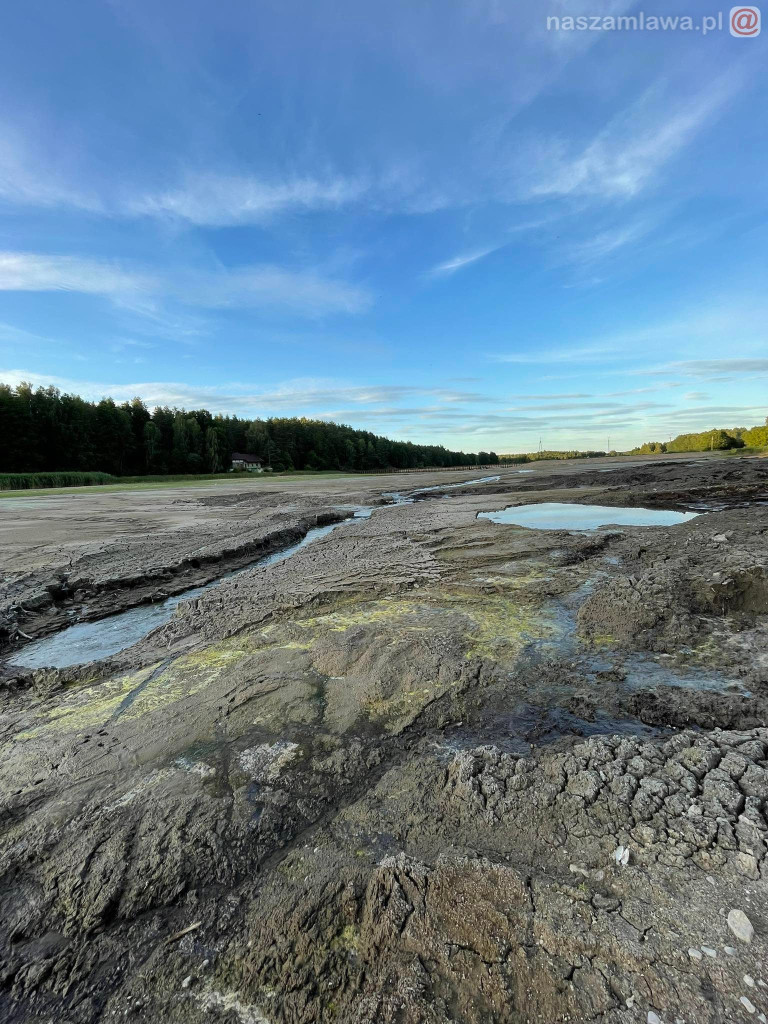 Remont zalewu. Teraz schną drzewa (FOTORELACJA)