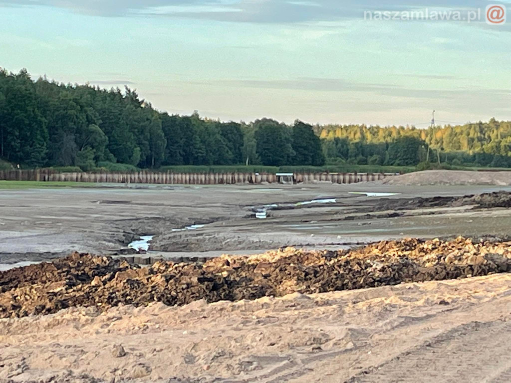 Remont zalewu. Teraz schną drzewa (FOTORELACJA)