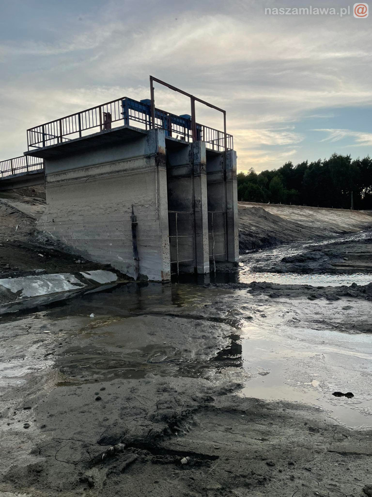 Remont zalewu. Teraz schną drzewa (FOTORELACJA)
