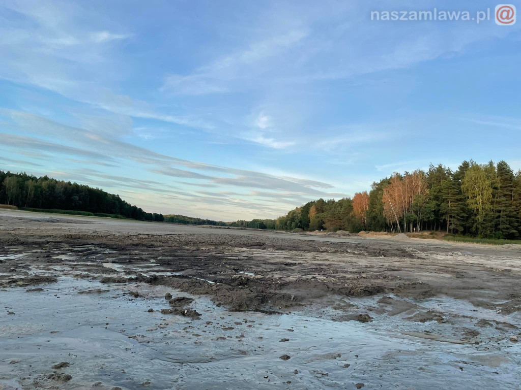 Remont zalewu. Teraz schną drzewa (FOTORELACJA)