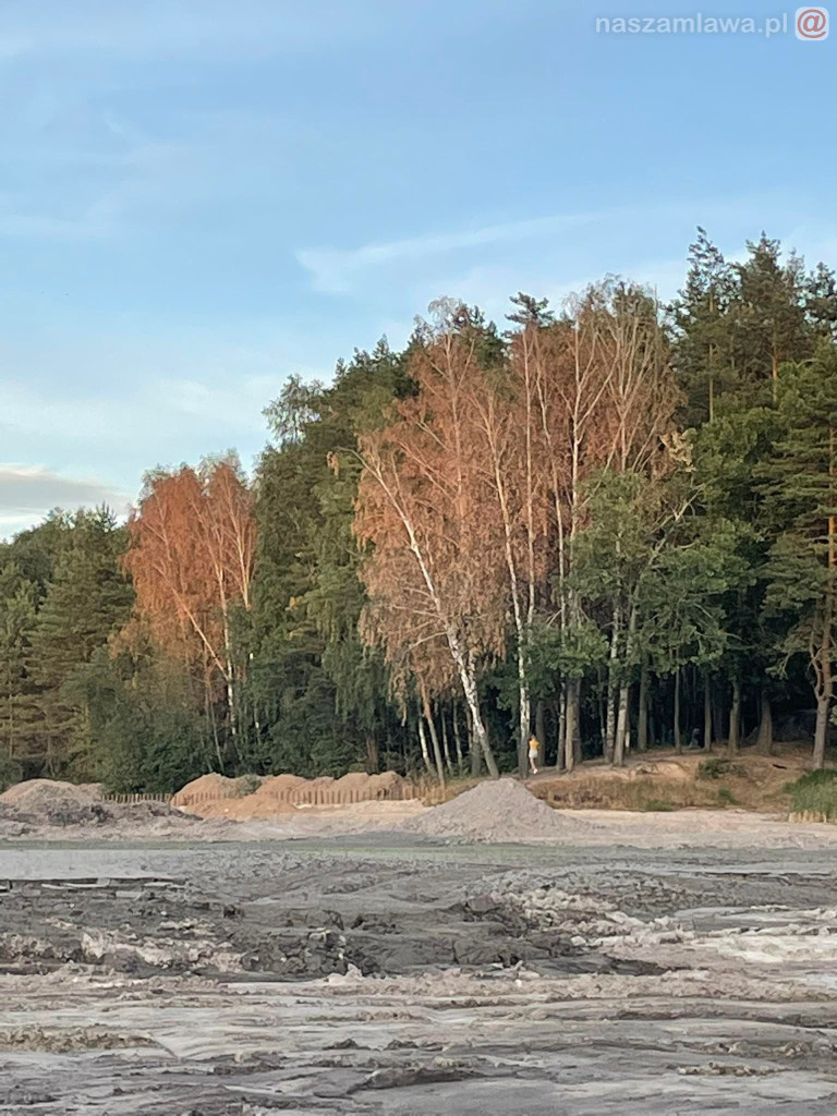 Remont zalewu. Teraz schną drzewa (FOTORELACJA)