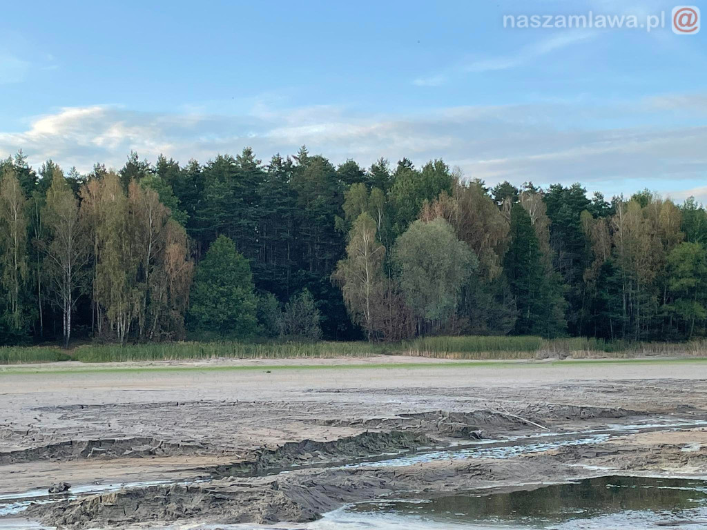 Remont zalewu. Teraz schną drzewa (FOTORELACJA)