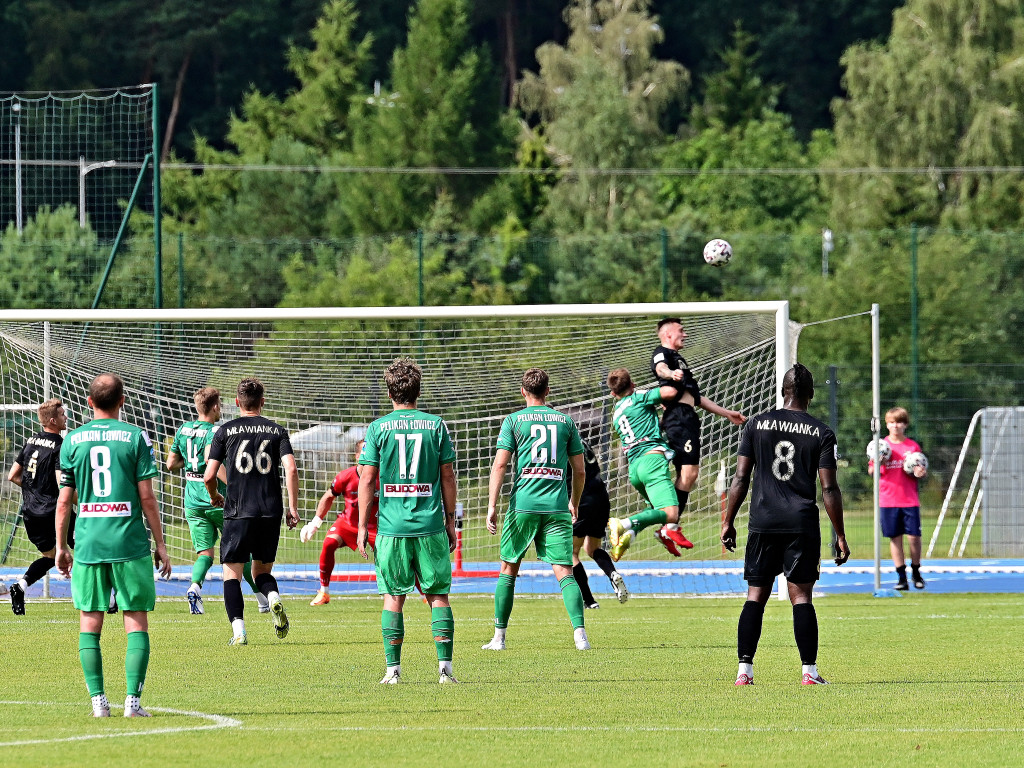 Pierwsze śliwki robaczywki. Nieudana inauguracja