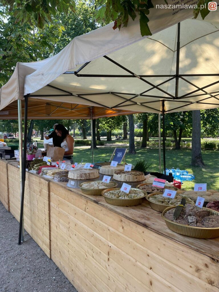 Koncert i piknik w parku (FOTORELACJA)