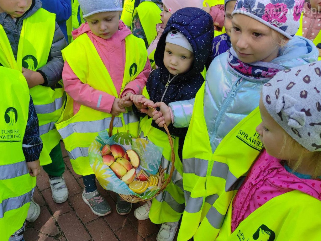 4 osoby zginęły w 30 wypadkach, 36 zostało rannych