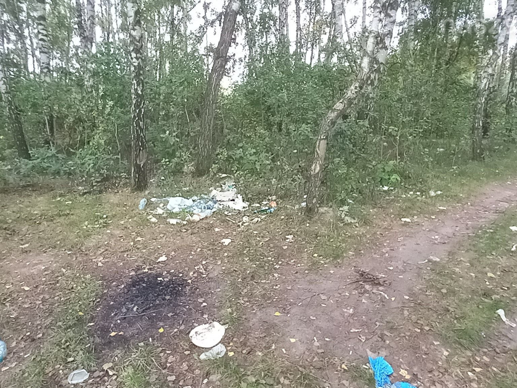 Kto zostawia coś takiego nad Zalewem? [ZDJĘCIA]