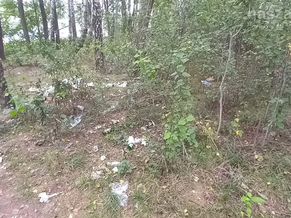 Kto zostawia coś takiego nad Zalewem? [ZDJĘCIA]