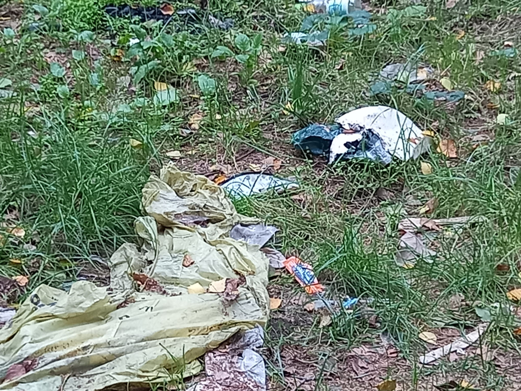 Kto zostawia coś takiego nad Zalewem? [ZDJĘCIA]