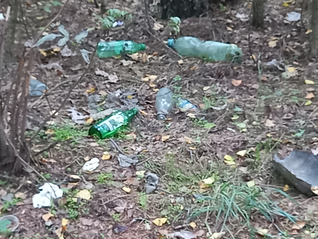 Kto zostawia coś takiego nad Zalewem? [ZDJĘCIA]