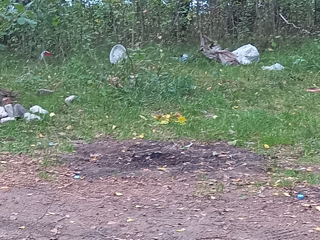 Kto zostawia coś takiego nad Zalewem? [ZDJĘCIA]