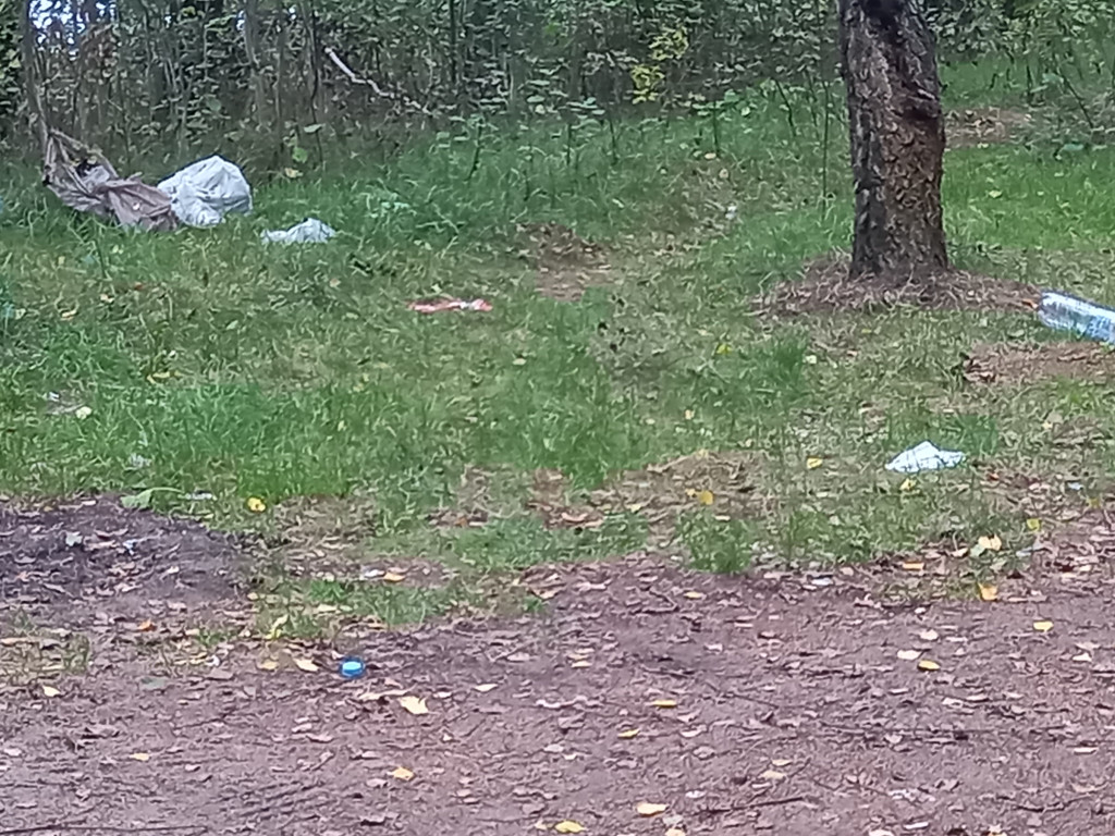 Kto zostawia coś takiego nad Zalewem? [ZDJĘCIA]