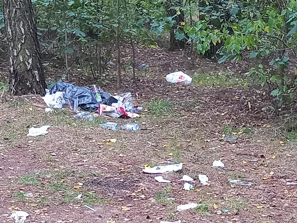 Kto zostawia coś takiego nad Zalewem? [ZDJĘCIA]