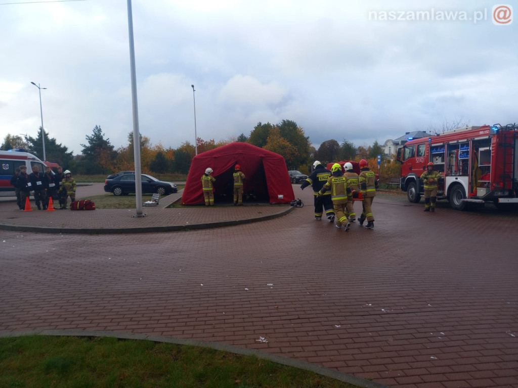 Co się działo pod lasem? [ZDJĘCIA]