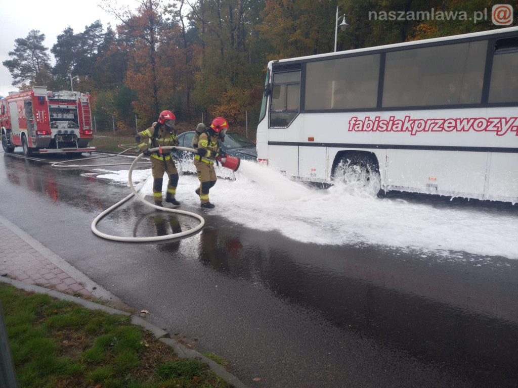 Co się działo pod lasem? [ZDJĘCIA]