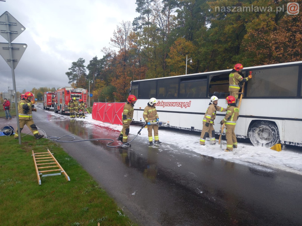 Co się działo pod lasem? [ZDJĘCIA]