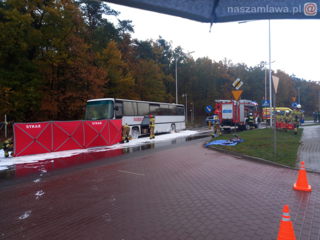 Co się działo pod lasem? [ZDJĘCIA]