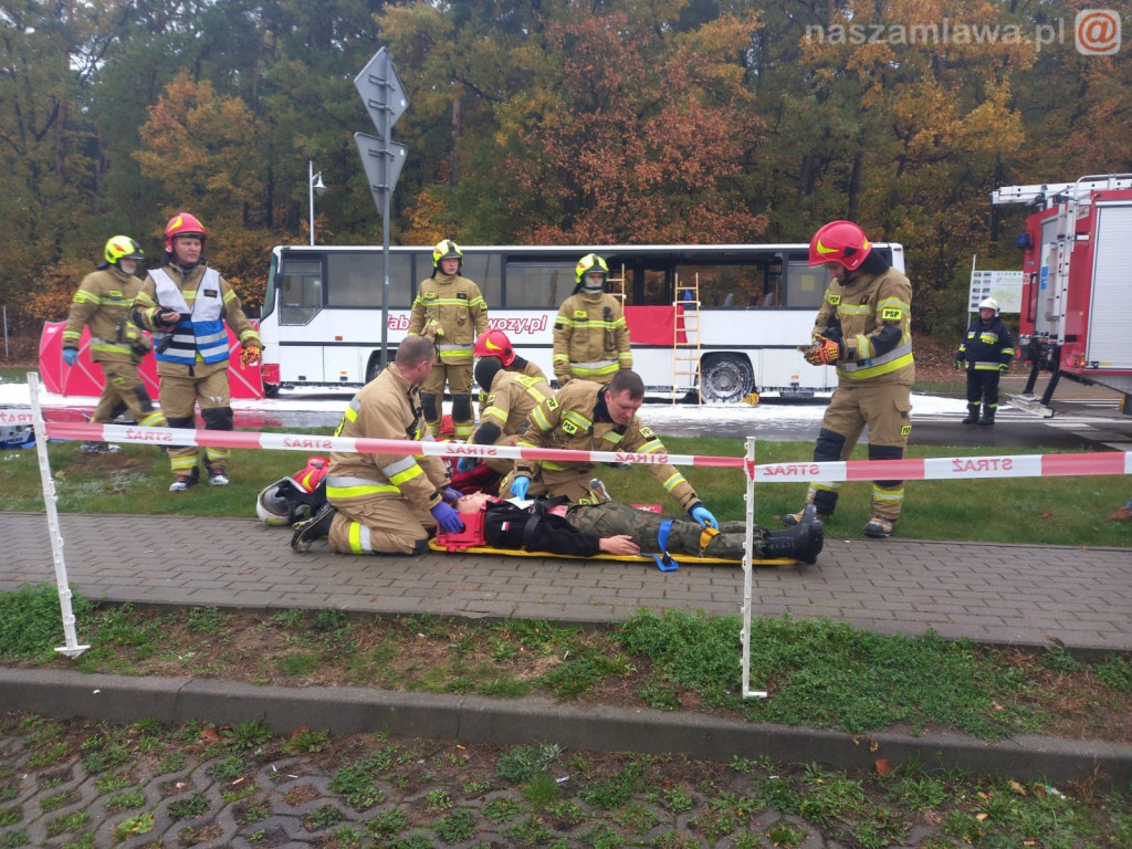Co się działo pod lasem? [ZDJĘCIA]