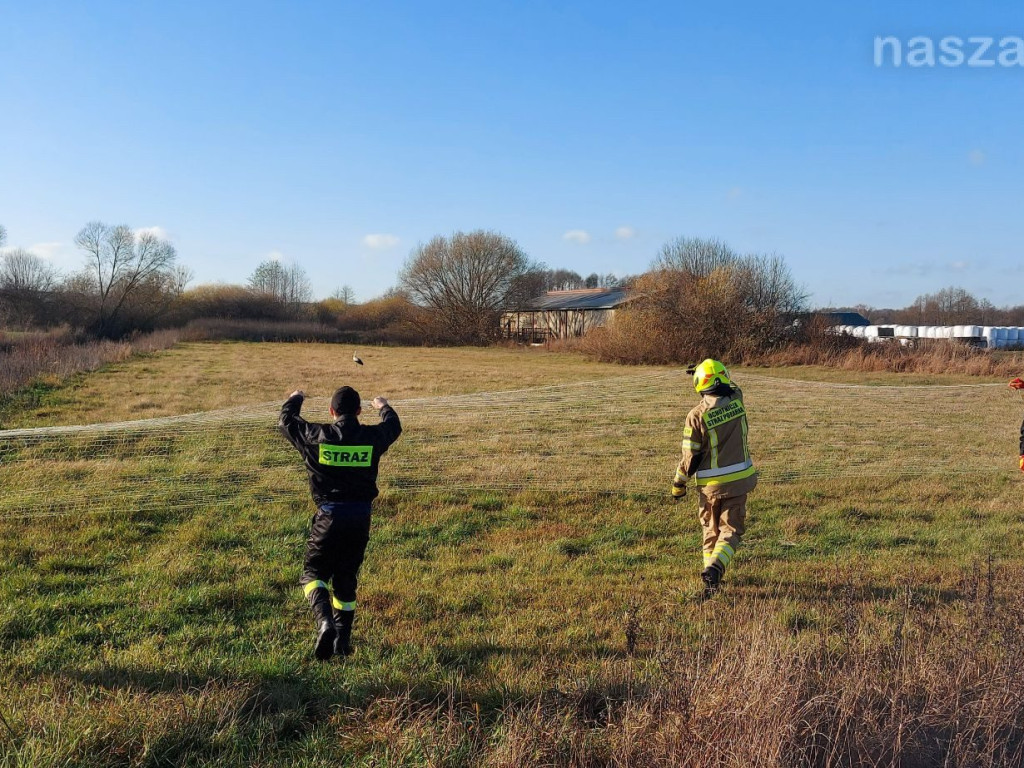 Akcja ratownicza ze szczęśliwym finałem [ZDJĘCIA]