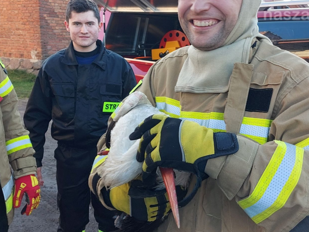 Akcja ratownicza ze szczęśliwym finałem [ZDJĘCIA]