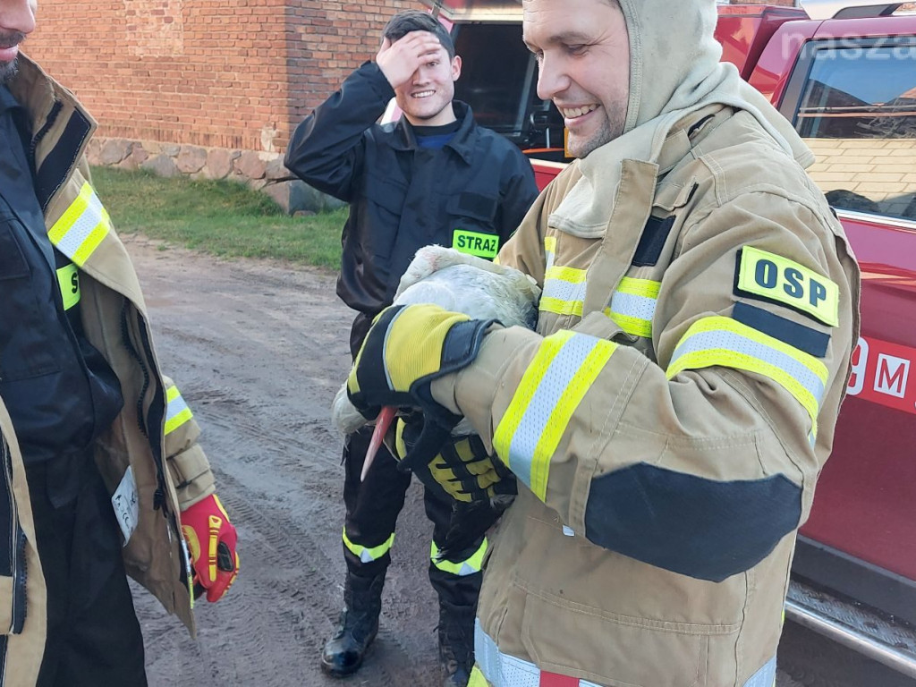 Akcja ratownicza ze szczęśliwym finałem [ZDJĘCIA]