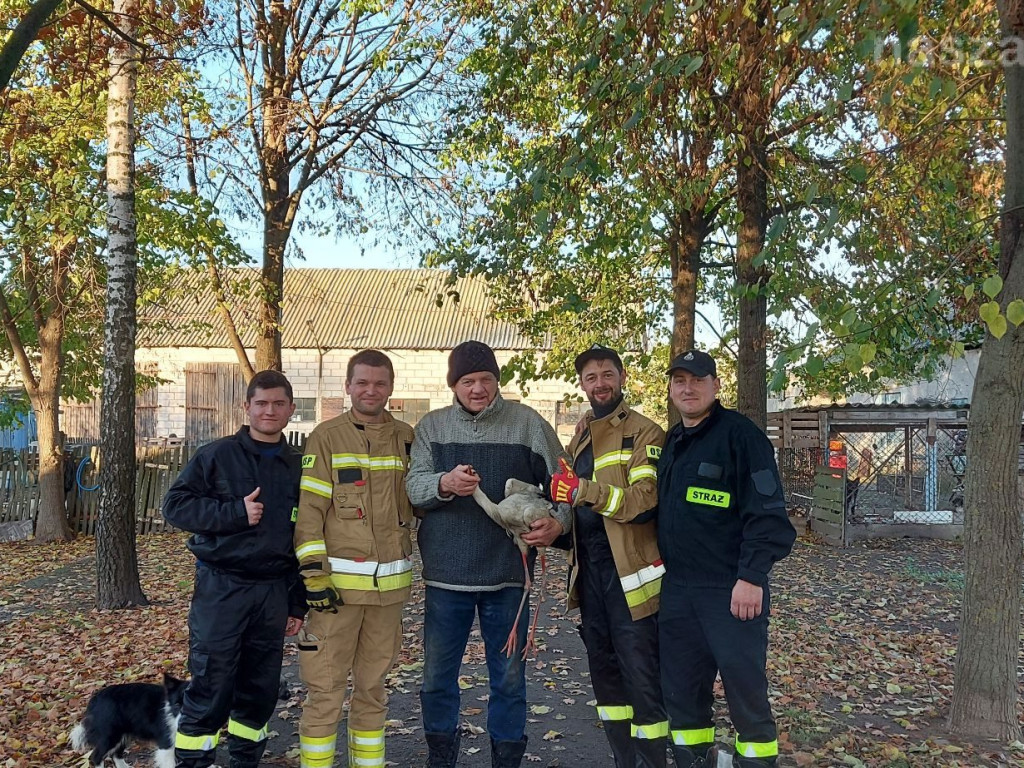 Akcja ratownicza ze szczęśliwym finałem [ZDJĘCIA]