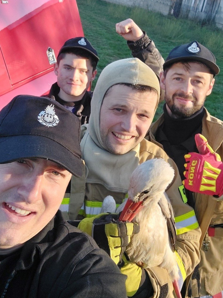 Akcja ratownicza ze szczęśliwym finałem [ZDJĘCIA]