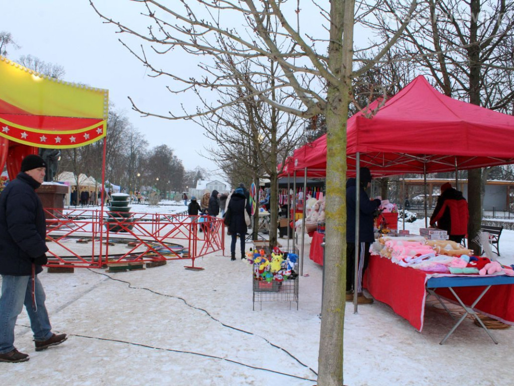 Jarmark Bożonarodzeniowy w Mławie [ZDJĘCIA]