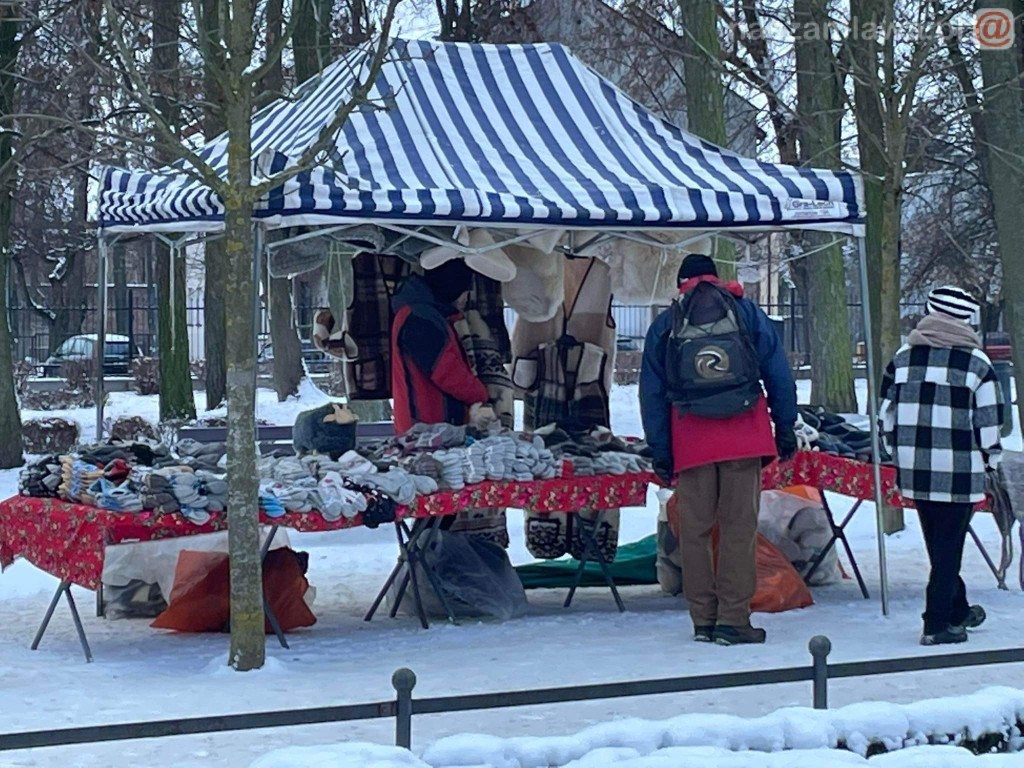 Jarmark Bożonarodzeniowy w Mławie [ZDJĘCIA]