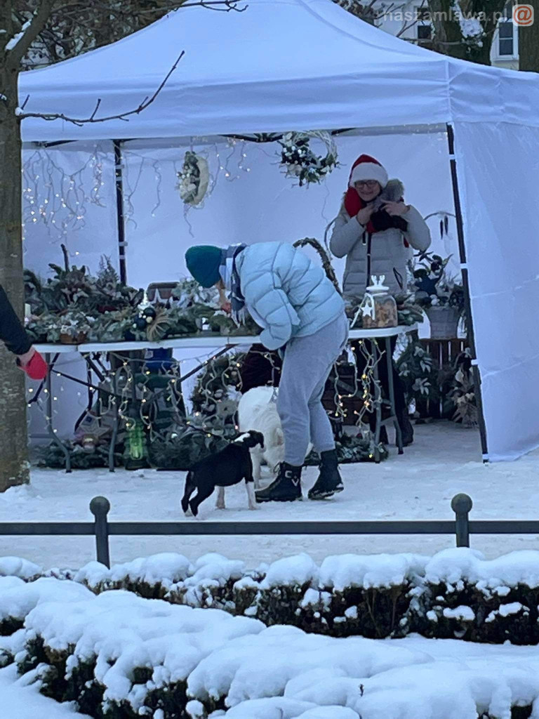 Jarmark Bożonarodzeniowy w Mławie [ZDJĘCIA]