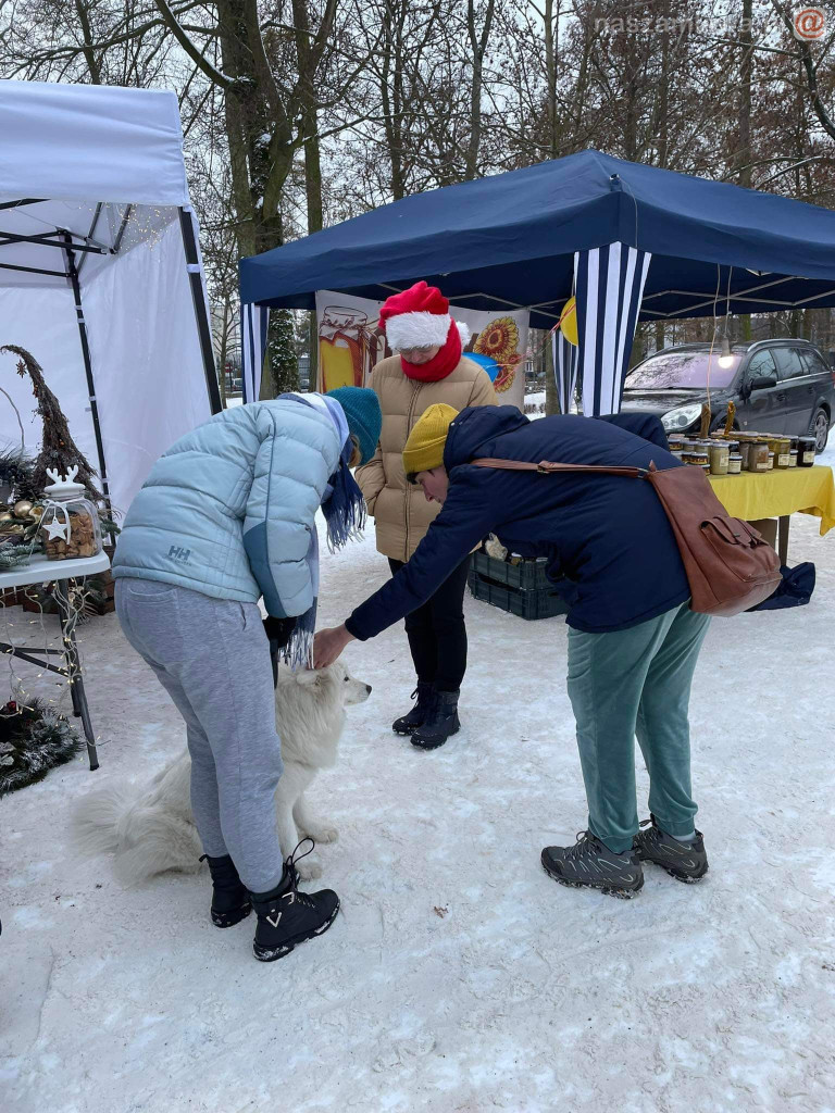 Jarmark Bożonarodzeniowy w Mławie [ZDJĘCIA]