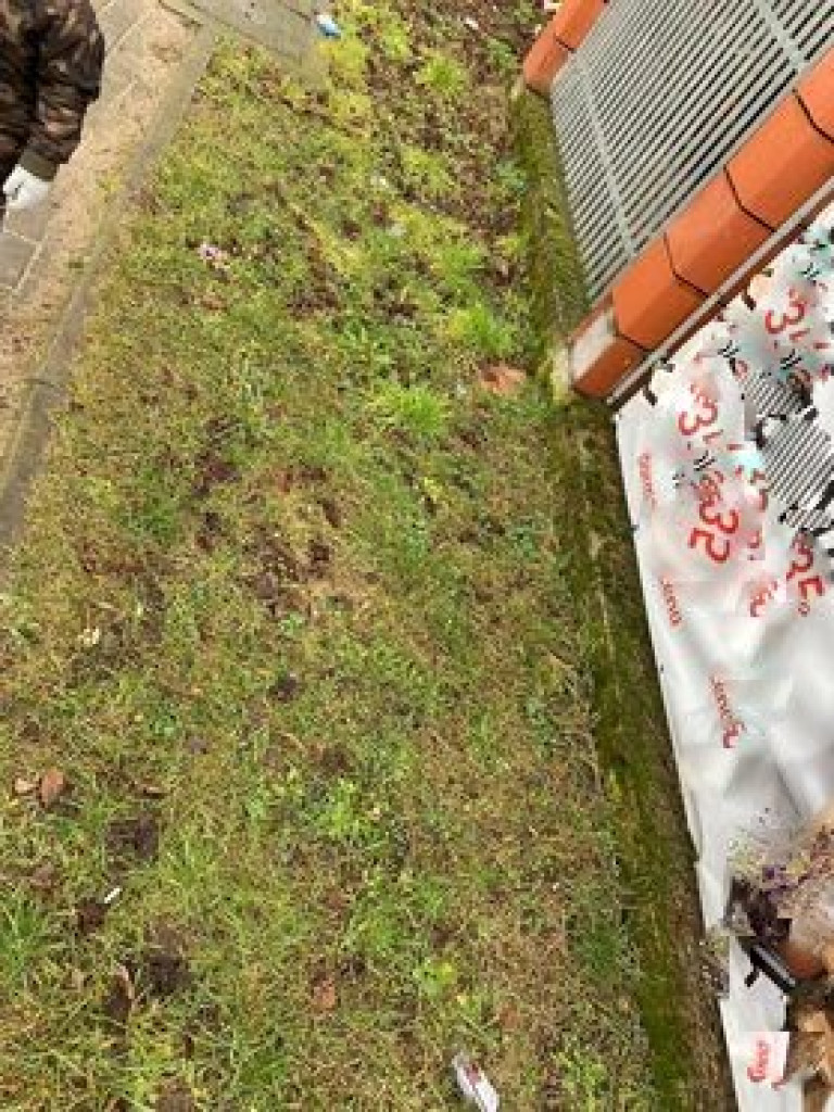 Tak to wygląda w mieście, na Krajewie i w lesie. ZDJĘCIA