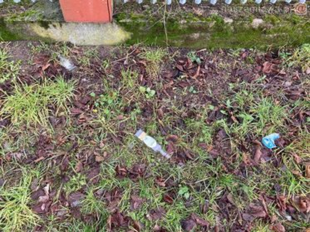 Tak to wygląda w mieście, na Krajewie i w lesie. ZDJĘCIA