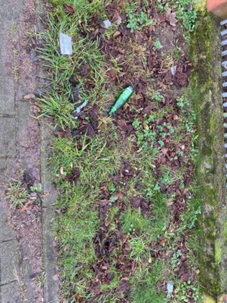 Tak to wygląda w mieście, na Krajewie i w lesie. ZDJĘCIA