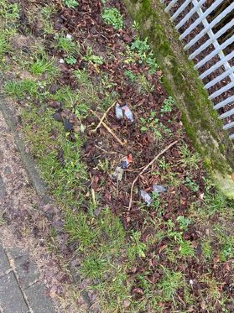 Tak to wygląda w mieście, na Krajewie i w lesie. ZDJĘCIA