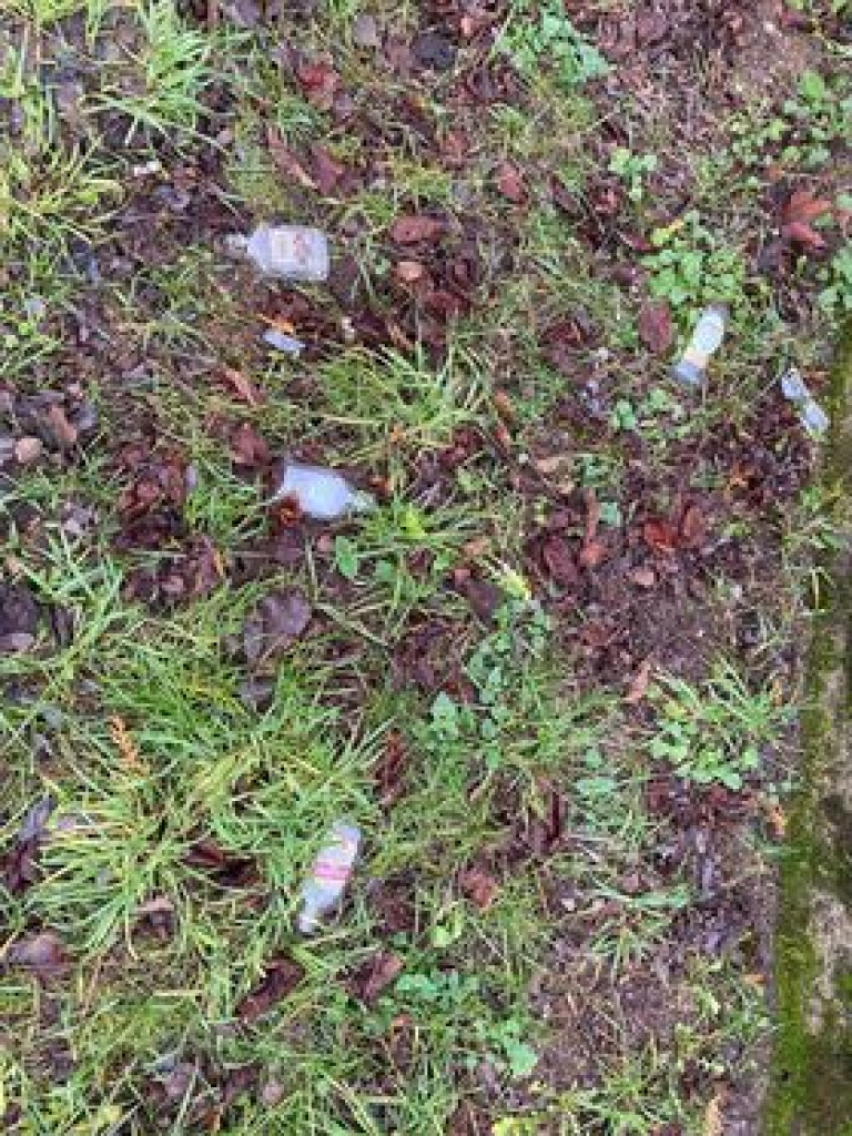 Tak to wygląda w mieście, na Krajewie i w lesie. ZDJĘCIA