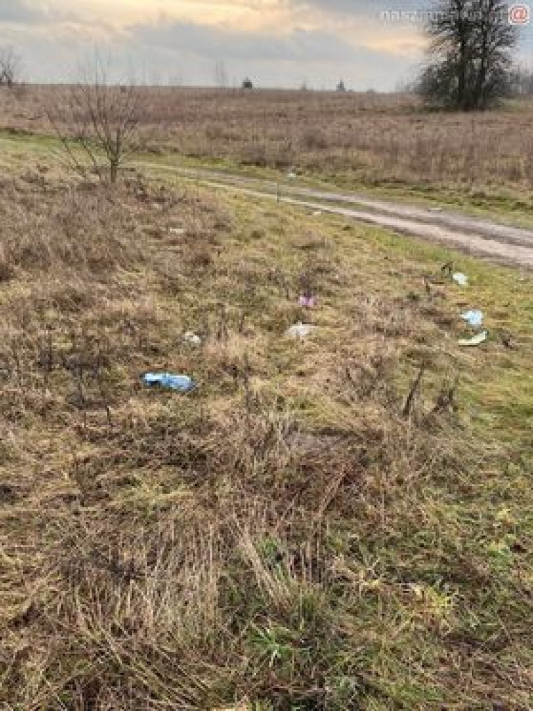 Tak to wygląda w mieście, na Krajewie i w lesie. ZDJĘCIA