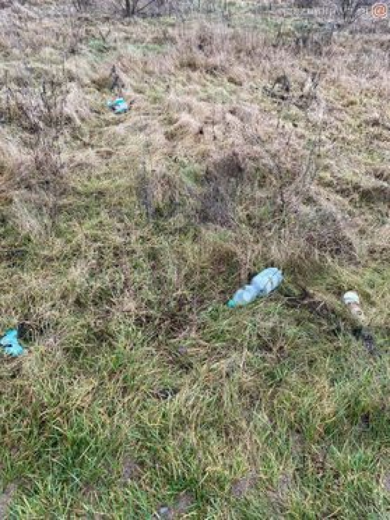 Tak to wygląda w mieście, na Krajewie i w lesie. ZDJĘCIA