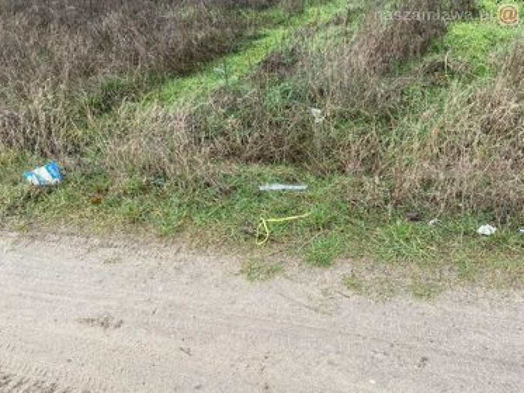 Tak to wygląda w mieście, na Krajewie i w lesie. ZDJĘCIA