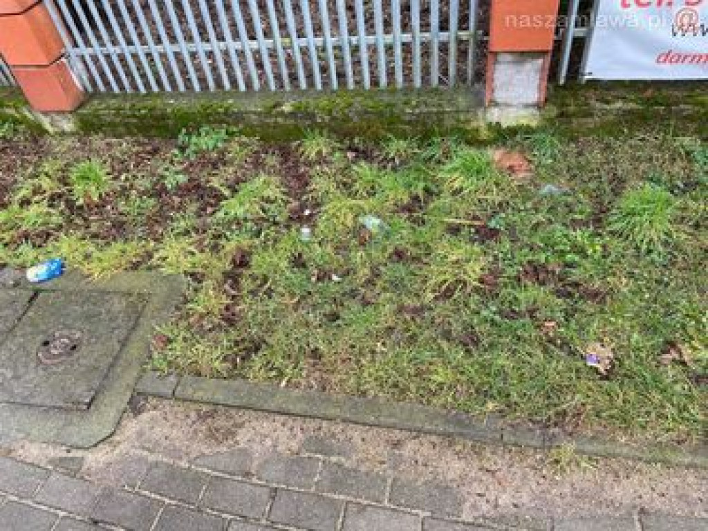 Tak to wygląda w mieście, na Krajewie i w lesie. ZDJĘCIA