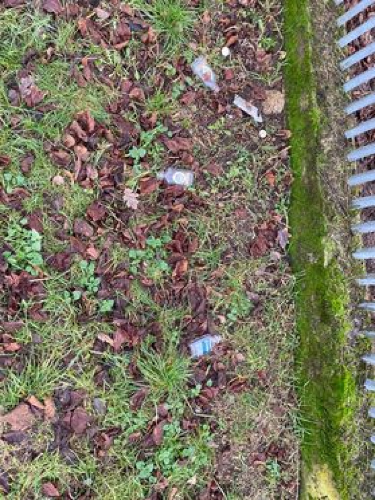 Tak to wygląda w mieście, na Krajewie i w lesie. ZDJĘCIA