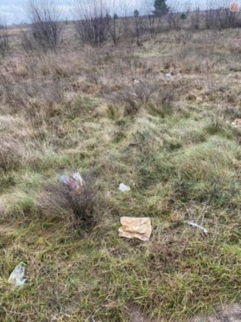 Tak to wygląda w mieście, na Krajewie i w lesie. ZDJĘCIA