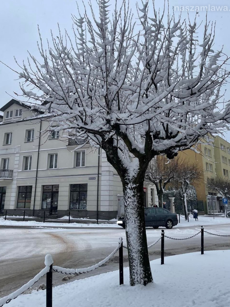 Mława cała biała. Trudne warunki na drogach [ZDJĘCIA]