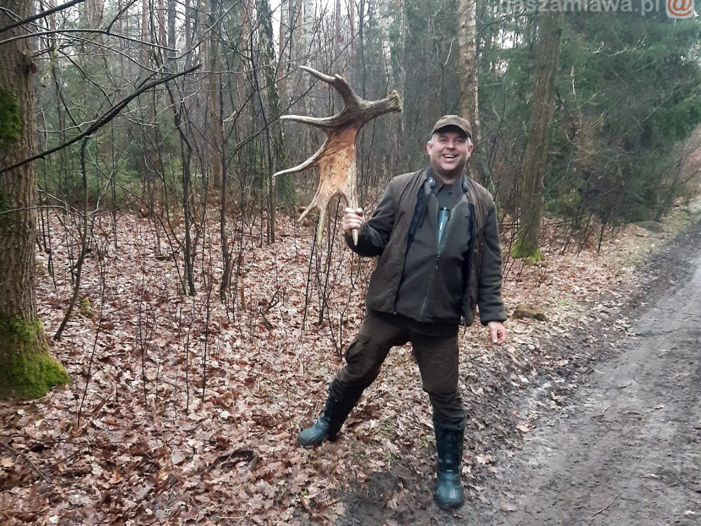 Zdumiewające okazy. Ruszajmy do lasu [ZDJĘCIA]