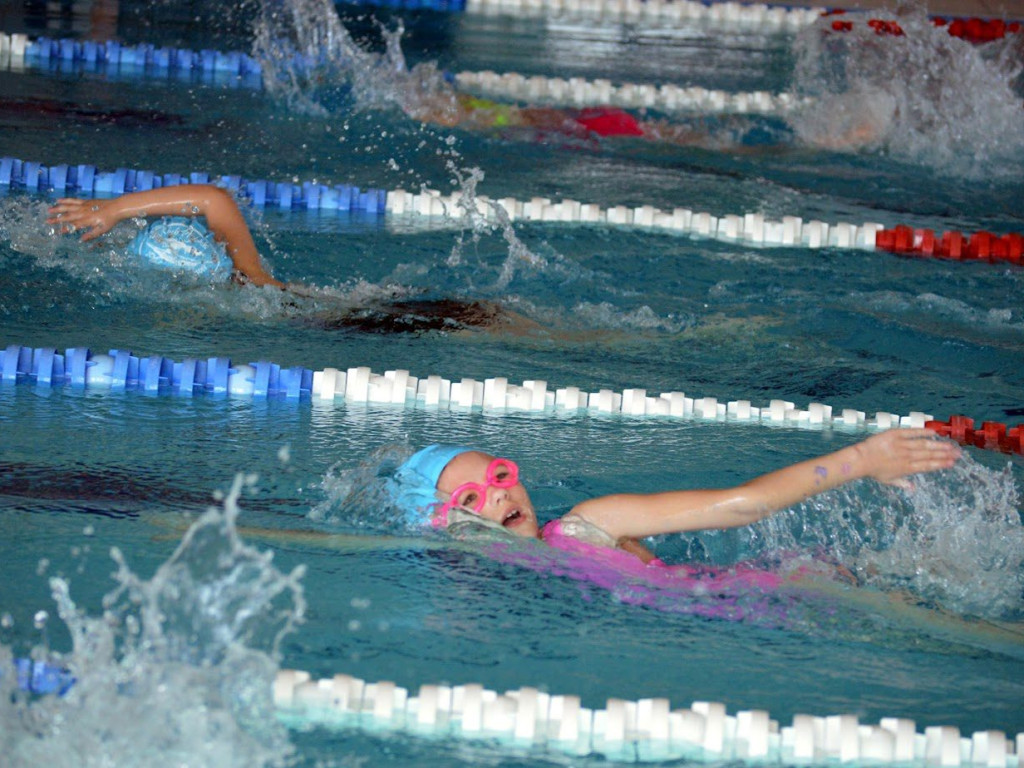 Pływackie emocje w Mławie. Płetwal i Marlin na medal