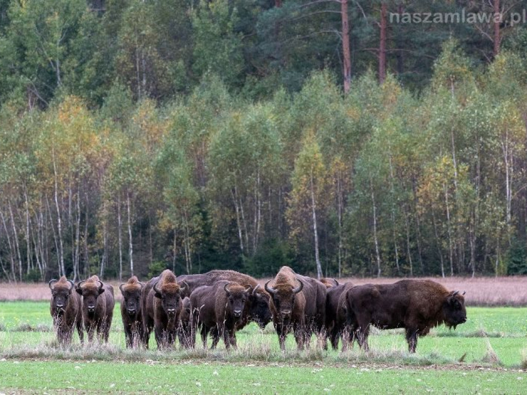 Podlaskie klimaty w Galerii 