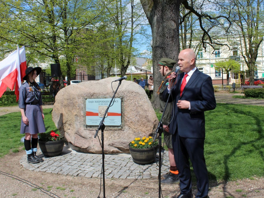Festyn rodzinny, odpust i święto Konstytucji w Mławie