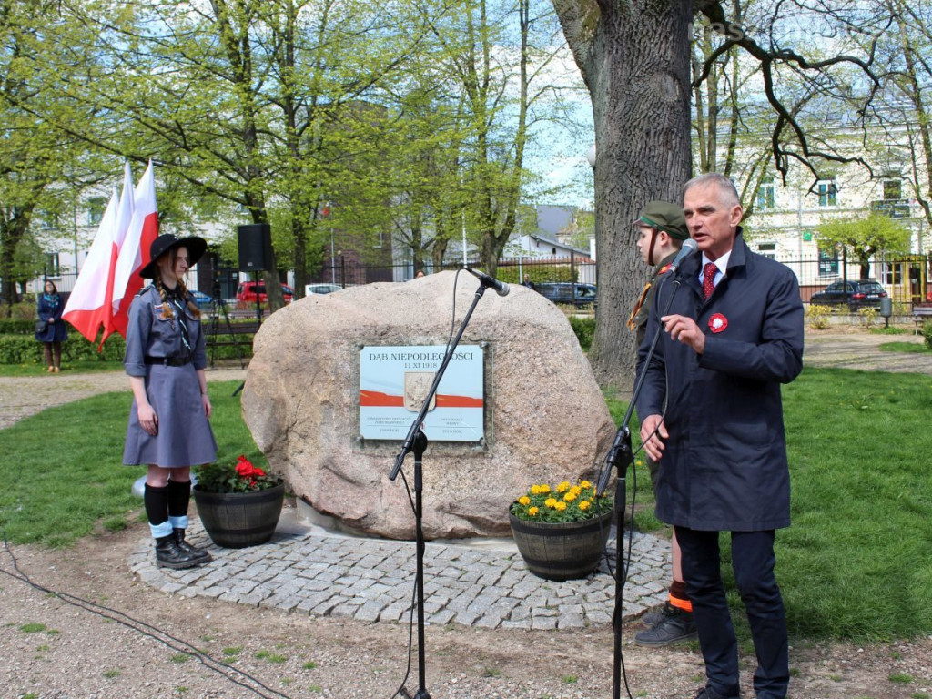 Festyn rodzinny, odpust i święto Konstytucji w Mławie
