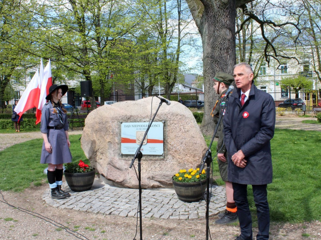 Festyn rodzinny, odpust i święto Konstytucji w Mławie